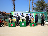 2026년03월28일 중앙회제53회춘계 전국진돗..