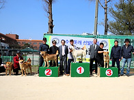 2026년03월28일 중앙회제53회춘계 전국진돗..