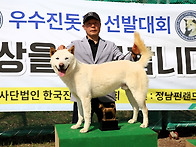 2026년03월28일 중앙회제53회춘계 전국진돗..