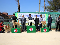 2026년03월28일 중앙회제53회춘계 전국진돗..