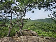 사랑산(647m) 2026.08..