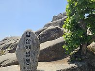 남산제1봉(1010m) 202..
