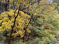 설악산 십이선녀탕 계곡...