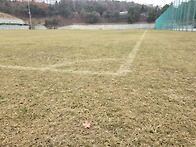 [스포츠 시시콜콜..