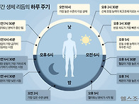 몇 시에 운동하세..