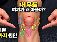  무릎 통증 위치별..