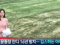 [단독]학교 운동장 잔디 ..