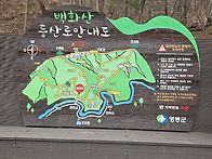 제 194차 영동 백화산{한성봉} 정기산행