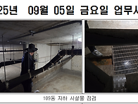 2025년 9월 5일 금요일