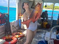 주간 호핑(Hopping)【사..