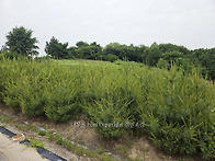 40년 조경 노하우로 키운 ..