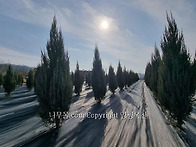 블루엔젤 싸게 팔아요. 판..