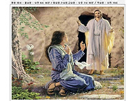 주님 부활 대축일 2026...