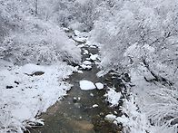 화악산에 눈구경 오세요 ..
