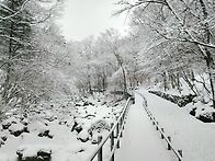 덕유산 눈산행 다녀왔어요..