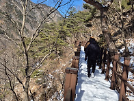 2025년 장령산 산림욕장 ..