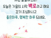 오늘은 백로(白露)..
