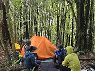 Karangahake Gorge ..