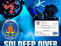 SDI DEEP DIVER Y.J..
