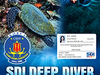 SDI DEEP DIVER S.Y..