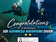 SDI ADVANCED DIVER..
