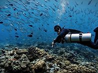 Palau 🇵