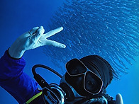 Philippines Bohol ..