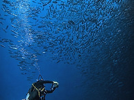 Palau 🇵