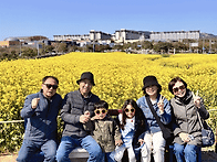 제주도 여행