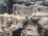 태리.태오 빨래 개기 교육..