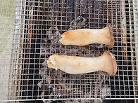 1박2일 정기산행 다녀왔습..
