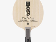 김택수 프로블레이드 퓨리..