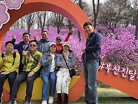 원미산진달래축제&도당산벚..