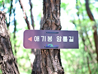 26/05/24(일) 불암산 애기..