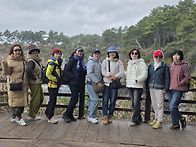 제주도 투어 단체..