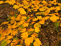 26/10/18(일) 설악산 흘림..