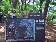 26/05/24(일) 불암산 애기..