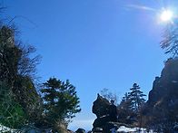 도착주 사진 몇장 올립니다