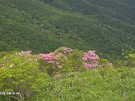 小白冥想