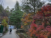 비슬산에서 앞산고산골까지..