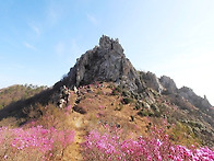 제528차 강진 덕룡산 (432.9m) 정기산행공..