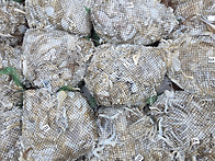 9월19일 황제호 ..