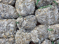 9월14일 황제호 ..