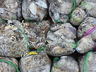 9월15일 씨알좋은 갑이와 ..