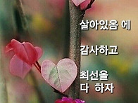 처녀 뱃사공