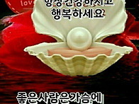 김동석 대령/6.25 한국전쟁..