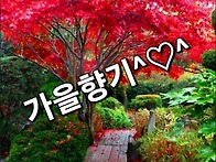 꽃길