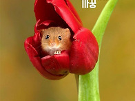 자주 하는 말이지만