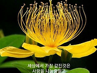 참 좋은 친구