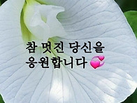 꽃피는 인생